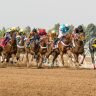 Saudi Cup Pferderennen